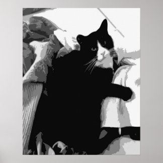Affiche Chat de linge
