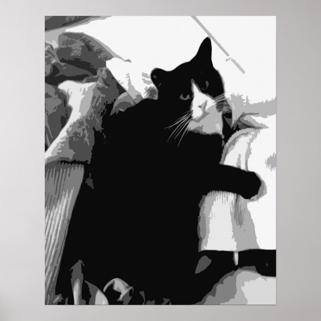 Affiche Chat de linge  (Devant)