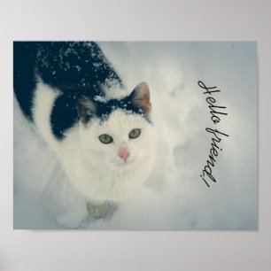 Affiche Chat de neige