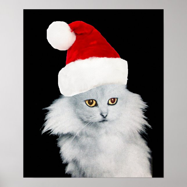 AFFICHE CHAT DE NOËL BLANC AVEC CASQUETTE SANTA CLAUS (Devant)