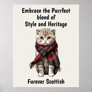 Affiche Chat de pliage écossais