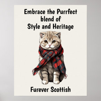 Affiche Chat de pliage écossais