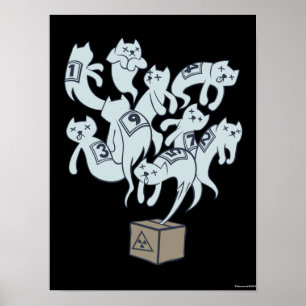 Affiche Chat de Schrödinger 9 Vies