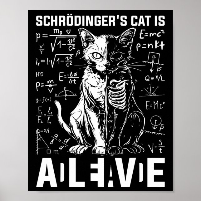 Affiche Chat de Schrodinger - Physique morte et vivante (Devant)