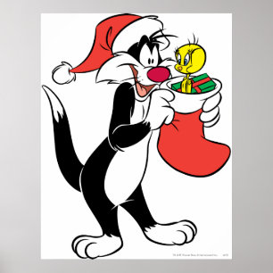 Affiche Chat de Sylvestre avec bas