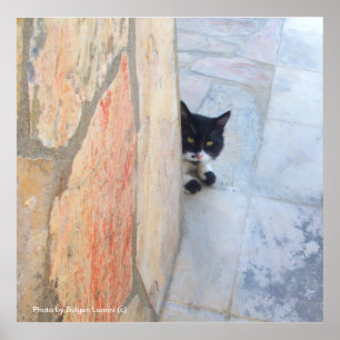 Affiche CHAT DÉTECTIVE DERRIÈRE LE MUR DE PIERRE / Fête de
