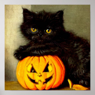 Affiche Chat d'Halloween vintage et lanterne Jack-o’