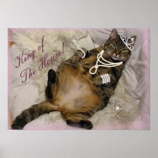 AFFICHE CHAT D'IMPRIMANTE ÉCLAIRÉ À L'ARRIÈRE