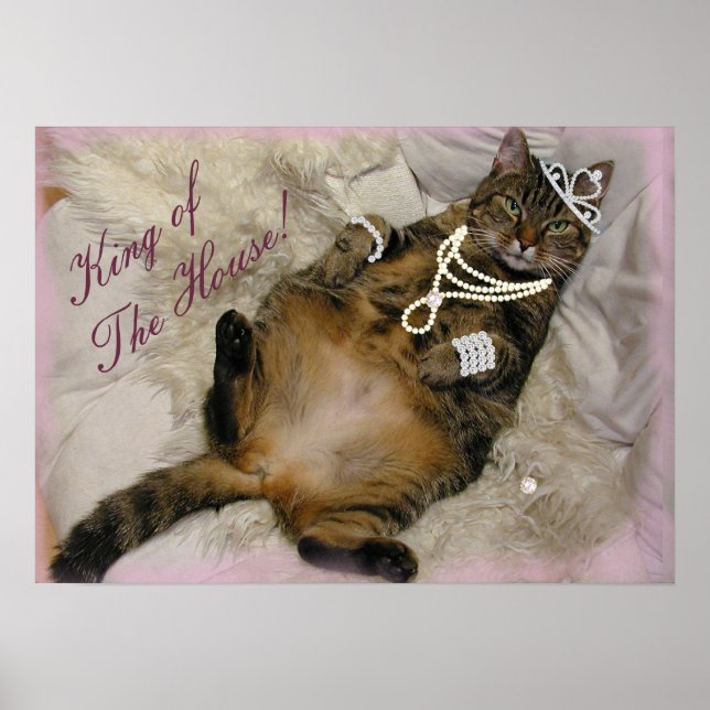 AFFICHE CHAT D'IMPRIMANTE ÉCLAIRÉ À L'ARRIÈRE (Devant)