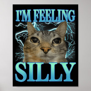 Affiche Chat drôle amateur de chats Citation drôle Mème de