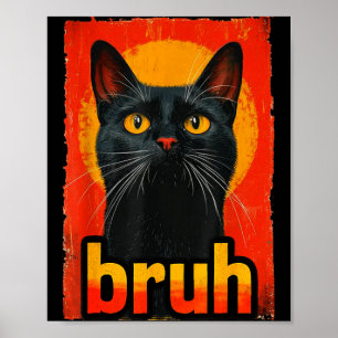 Affiche Chat Drôle Bruh Pour Adolescents Garçons Filles Ho