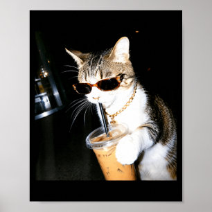 Affiche Chat Drôle Buvant du Café Glacé Humour Mème Chaton