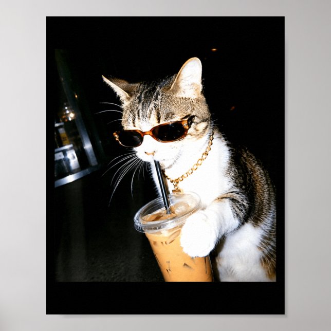 Affiche Chat Drôle Buvant du Café Glacé Humour Mème Chaton (Devant)