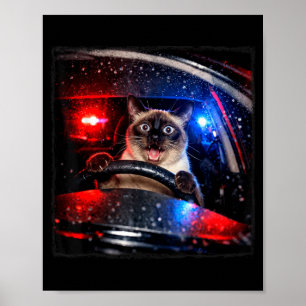 Affiche Chat Drôle Conduisant Poursuite de Police Chaton M
