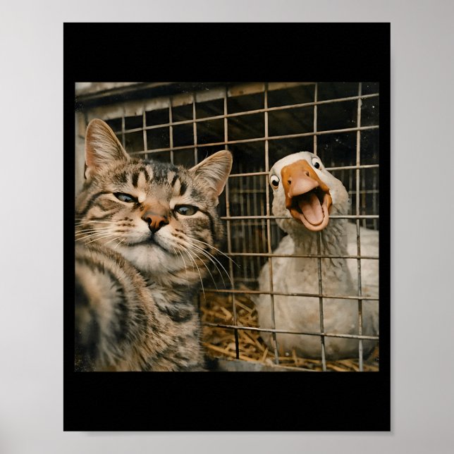 Affiche Chat drôle et selfie d'oie drôle amitié étrange en (Devant)