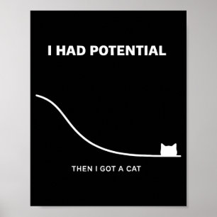 Affiche Chat Drôle J'avais du Potentiel Puis J'ai eu un Ch
