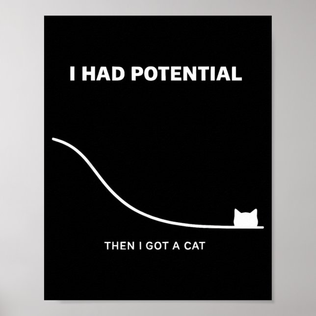 Affiche Chat Drôle J'avais du Potentiel Puis J'ai eu un Ch (Devant)