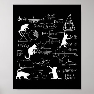Affiche Chat Drôle Jouer Avec Math Formules Kitten Chat Un