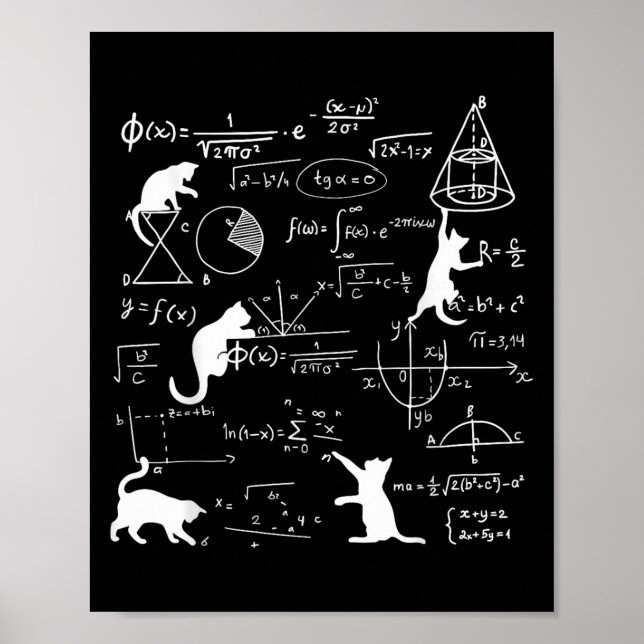 Affiche Chat Drôle Jouer Avec Math Formules Kitten Chat Un (Devant)