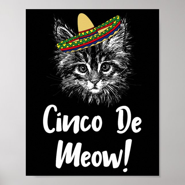 Affiche Chat Drôle Kitty Meow Cinco De Mayo T Shirt Pour C (Devant)