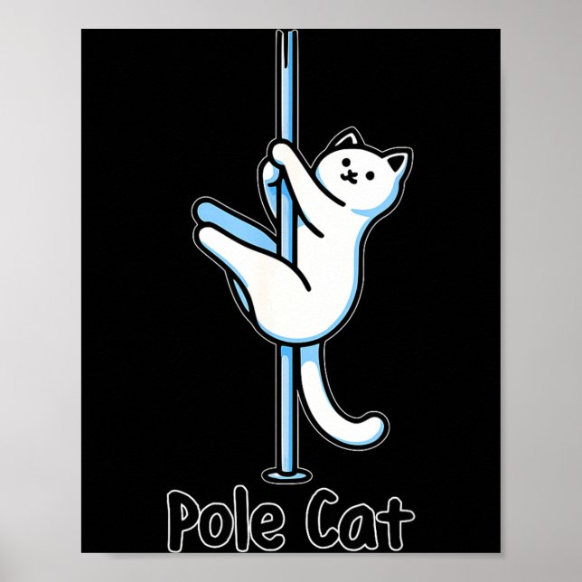 Affiche Chat Drôle Le Danse Ou Est-ce Un Jeu De Mots Lecat (Devant)