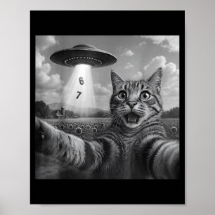 Affiche Chat Drôle Mème Selfie Six Sept Rétro Chat 67 Anim