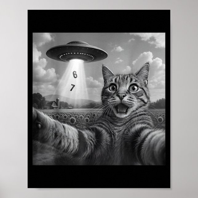 Affiche Chat Drôle Mème Selfie Six Sept Rétro Chat 67 Anim (Devant)