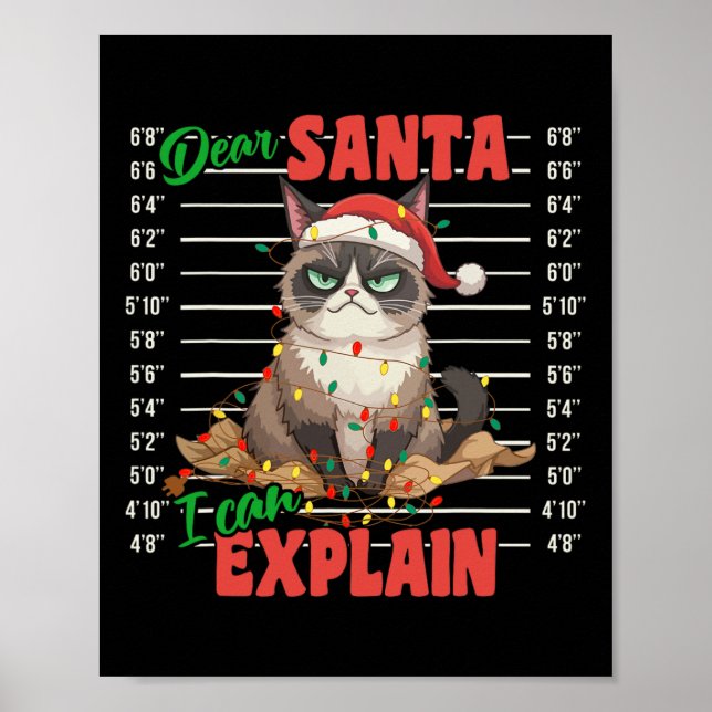 Affiche Chat Drôle Mugshot Cher Père Noël Je Peux Explique (Devant)