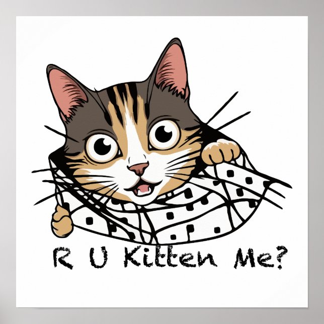 Affiche Chat Drôle Peeking Sticker - Êtes-Vous Kitten Me? (Devant)