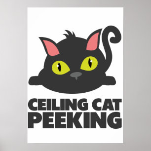 Affiche Chat du plafond qui regarde drôle Art de mème Inte