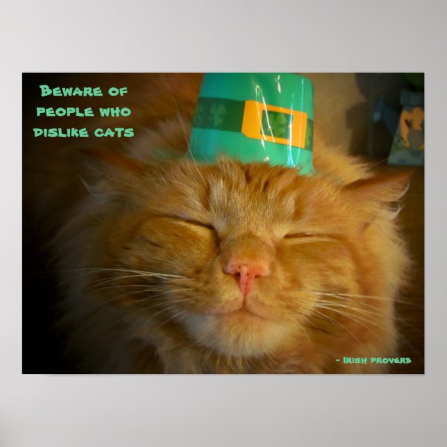 Affiche Chat en Casquette irlandais avec proverbe (Devant)