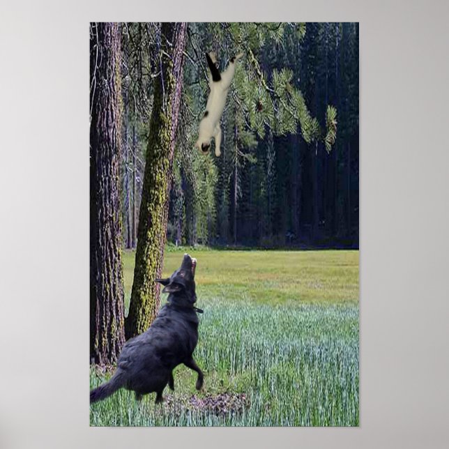 AFFICHE CHAT EN CHUTE (Devant)