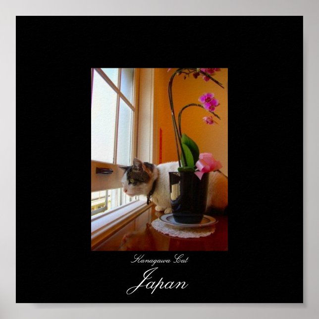 Affiche Chat en Kanagawa, Japon (Devant)