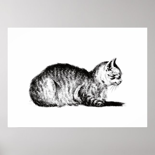 Affiche Chat en peluche, à gauche, Jean Bernard, 1812 (Devant)