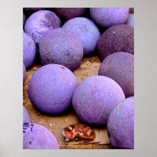 Affiche chat errant dans les boules de canon