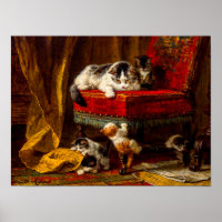 Chat et chatons Jouer avec chaise