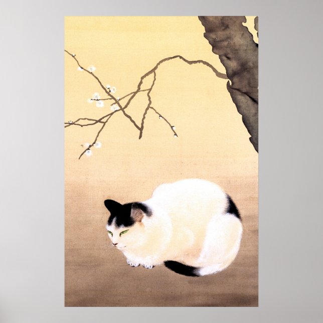 Affiche Chat et fleurs de prunier - Hishida Shunso  Affich (Devant)