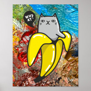 Affiche Chat et les couleurs