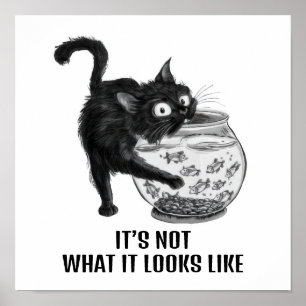 Affiche Chat et poisson