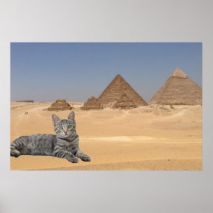 Affiche Chat et Pyramide.