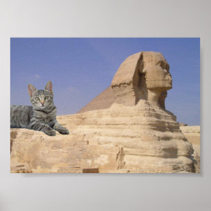 Affiche Chat et Sphinx.