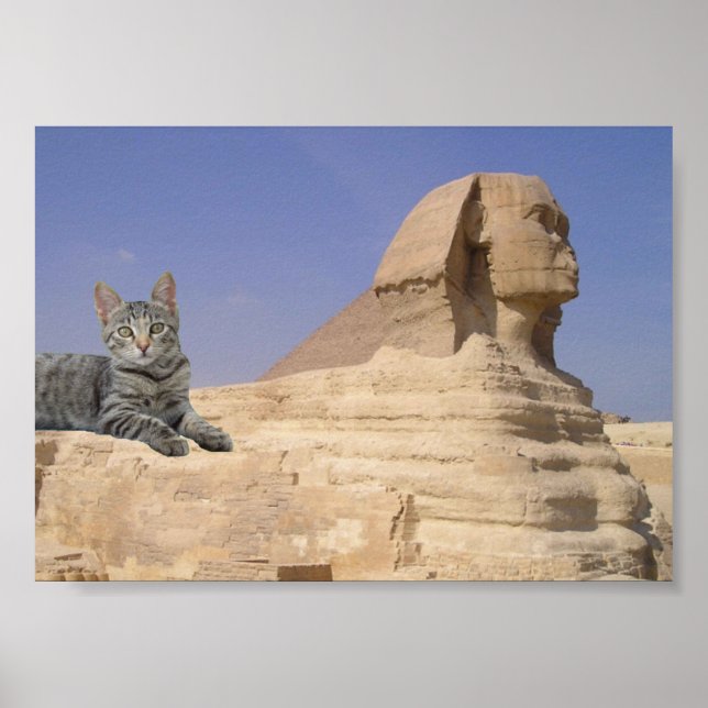 Affiche Chat et Sphinx. (Devant)