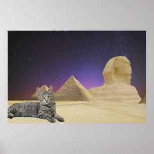 Affiche Chat et Sphinx.