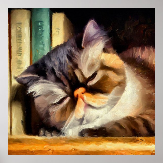 Affiche Chat Exotique Shorthair (Devant)