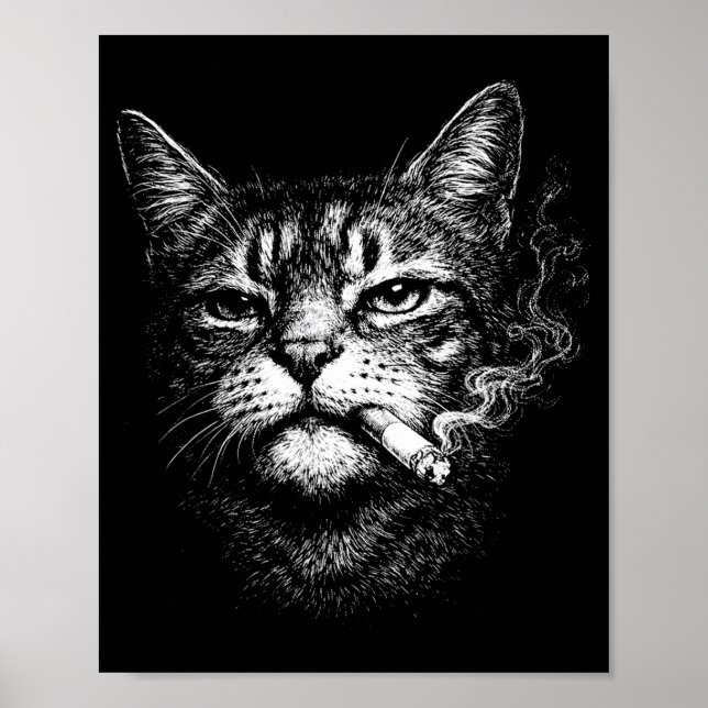 Affiche Chat fumant cigarette drôle visage d'animal meme (Devant)