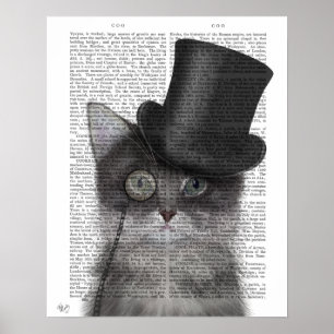 Affiche Chat gris avec chapeau supérieur