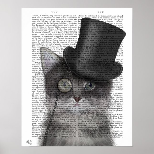 Affiche Chat gris avec chapeau supérieur (Devant)