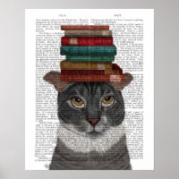 Chat gris avec des livres sur la tête