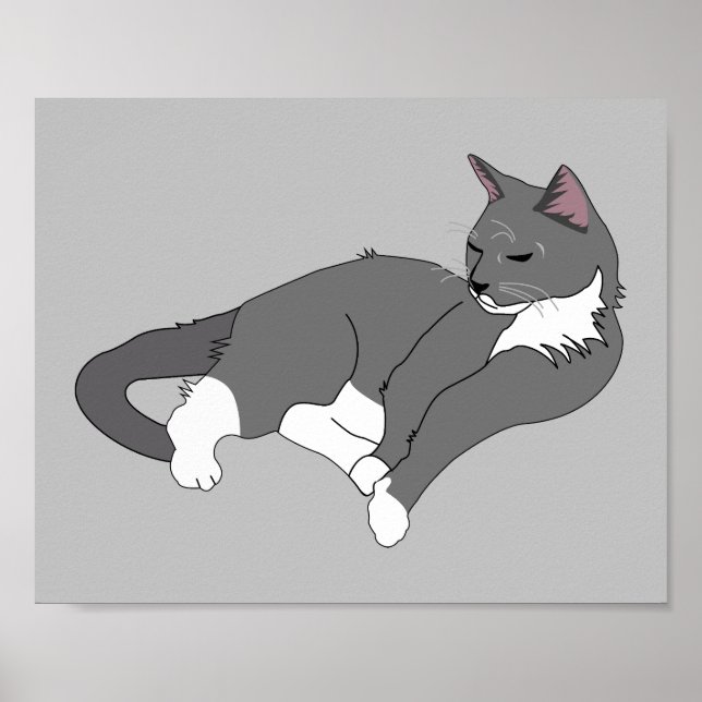 Affiche Chat gris et blanc Tuxedo (Devant)
