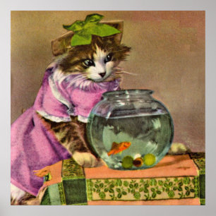 Affiche chat habillé et aquarium